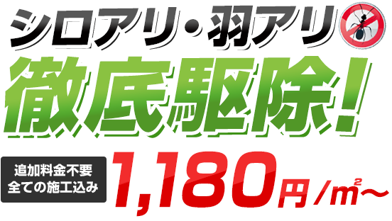 シロアリ駆除・羽アリ予防徹底駆除1,180円/㎡~